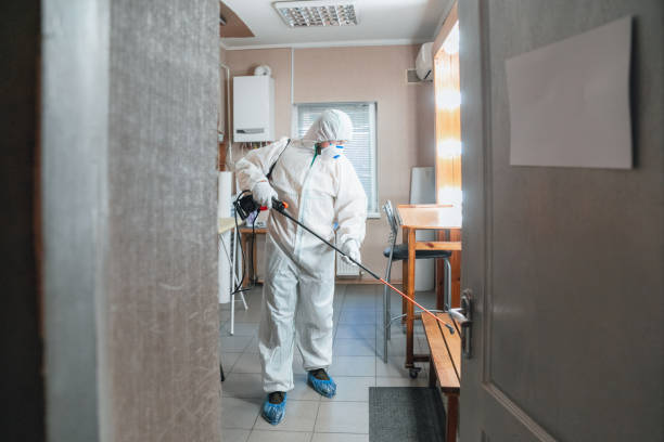 Mold Removal for HVAC Installations in Arlington, MN