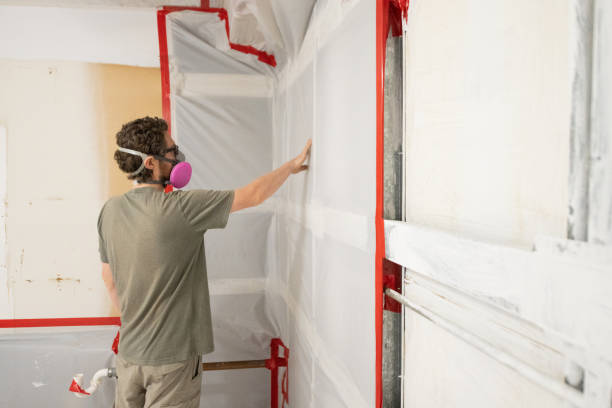 Mold Remediation for Vacation Homes in Arlington, MN