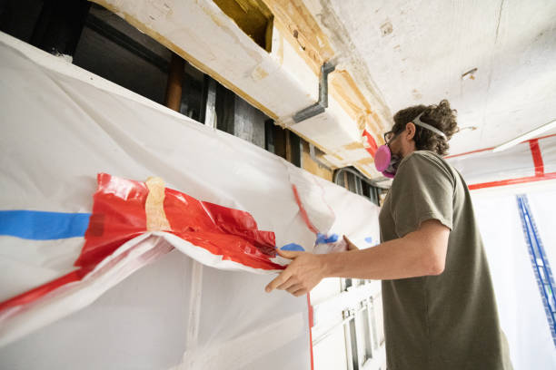 Best Mold Remediation for Vacation Homes  in Arlington, MN