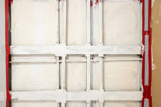 Trusted Arlington, MN Mold Removal Experts