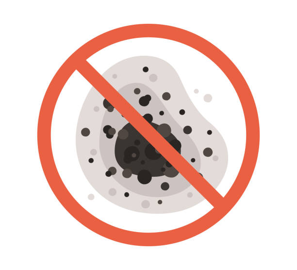 Best Mold-Related Health Consultation  in Arlington, MN