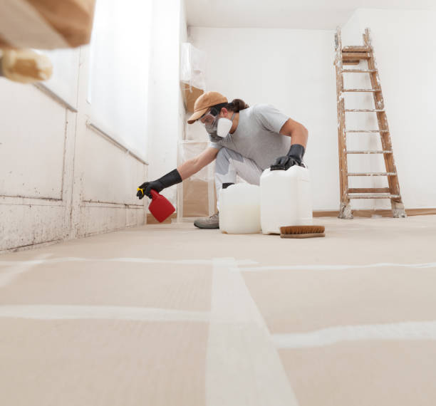 Best Crawl Space Mold Remediation  in Arlington, MN